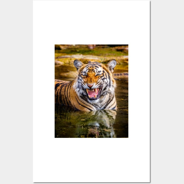 Bengal Tigress Wall Art by GrahamPrentice